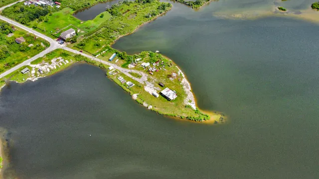 a view of street with tall trees