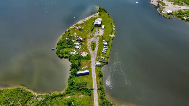 a close up of a vase of flowers