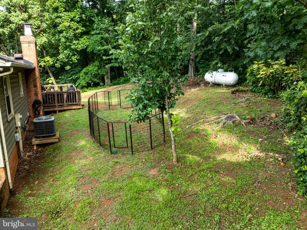 a view of a garden with plants