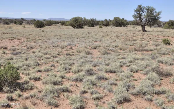 $30,000 | 29 B N9005, Concho, AZ 85924
