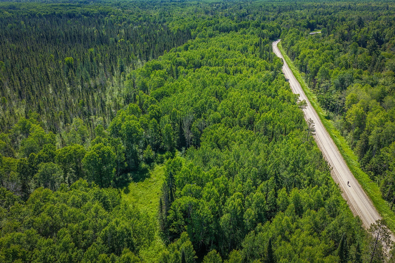 South North Hulbert Road Eckerman, MI 49728 - Photo 4 of 29