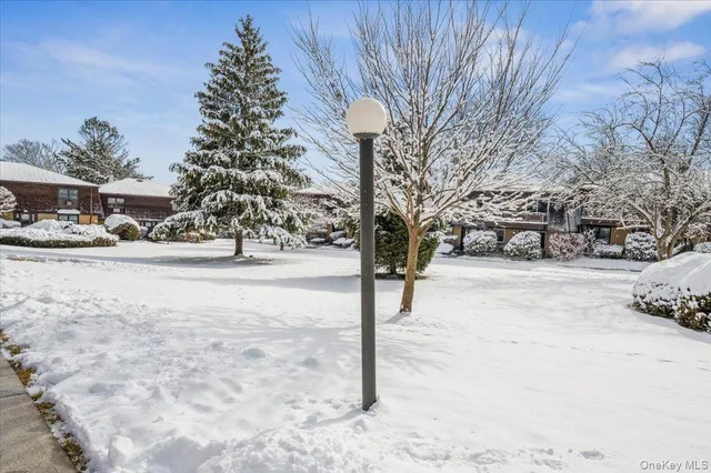 a street view covered with snow