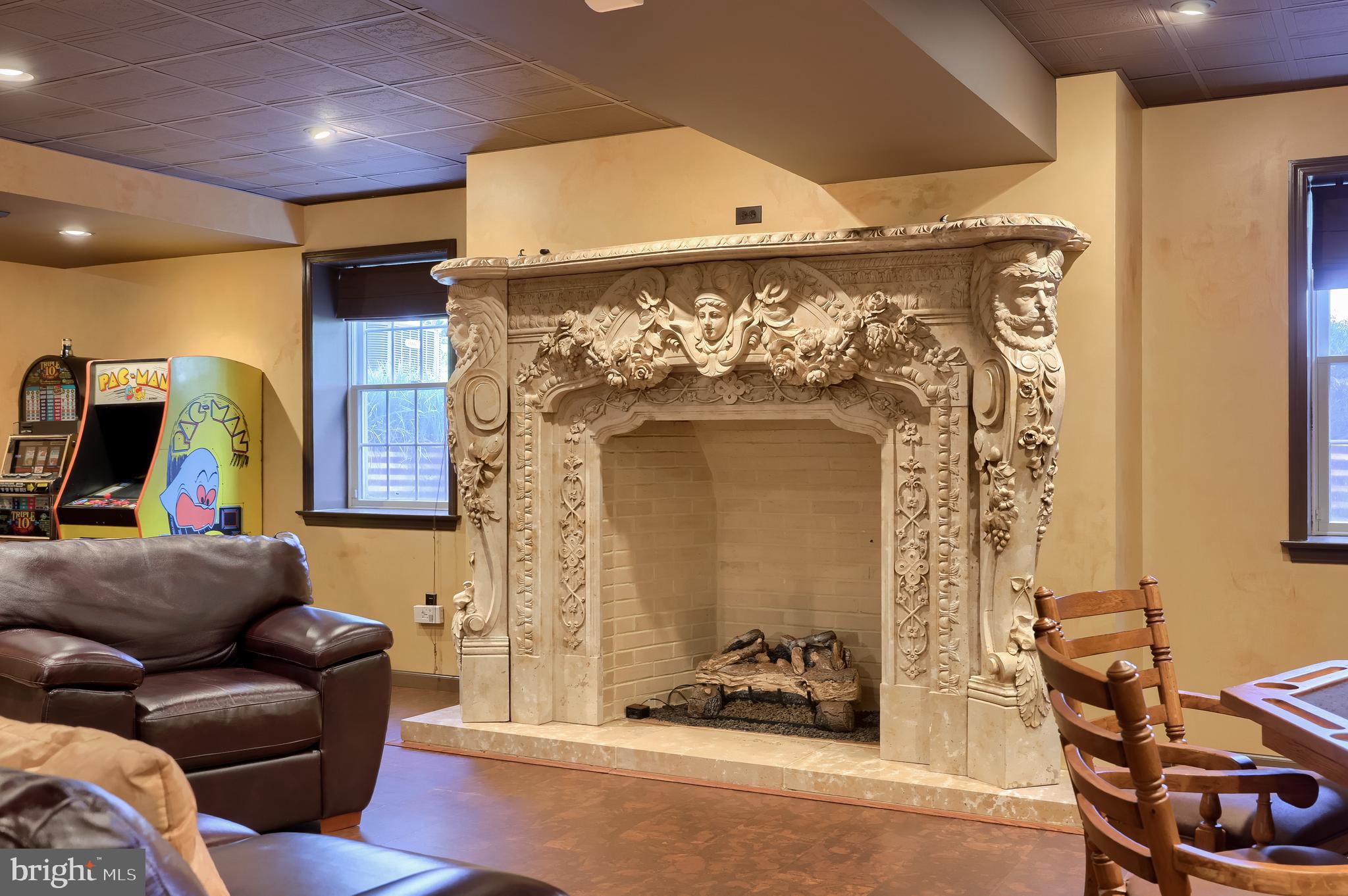 890 Fishburn Road Hershey, PA 17033 - Photo 73 of 103 a living room with furniture and a fireplace