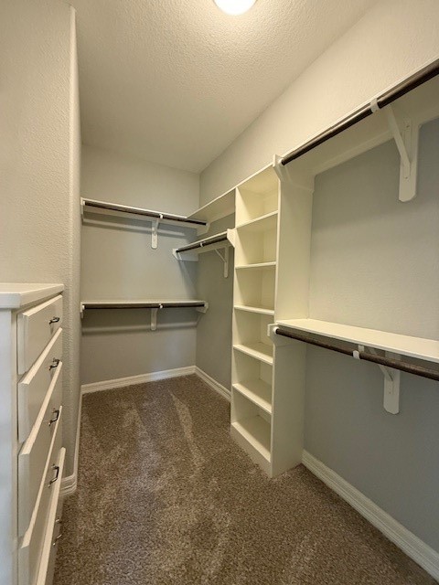 1541 Primrose Street Conroe, TX 77385 - Photo 15 of 25 a view of an empty walk in closet