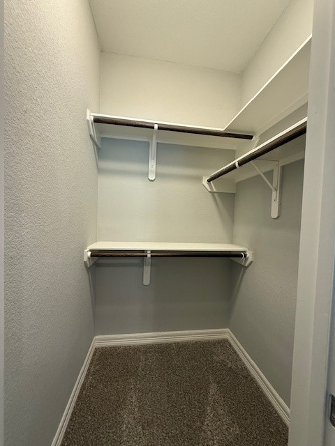 1541 Primrose Street Conroe, TX 77385 - Photo 18 of 25 a close view of closet