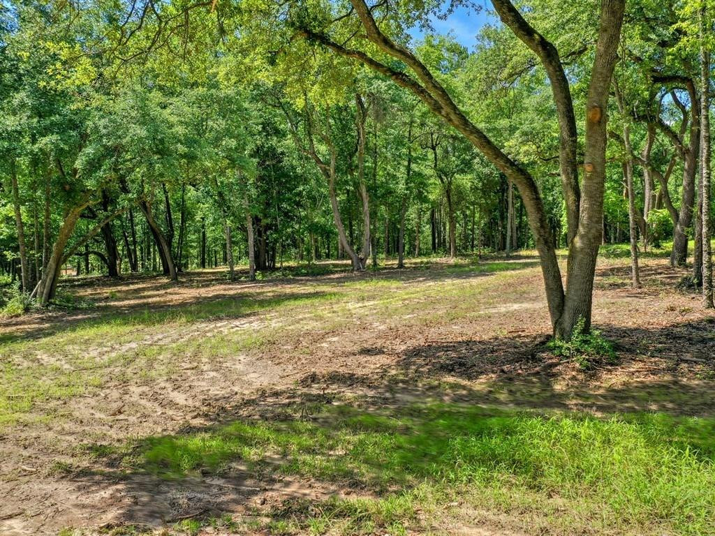 3 Old Dibble Road Aiken, SC 29803 - Photo 1 of 9
