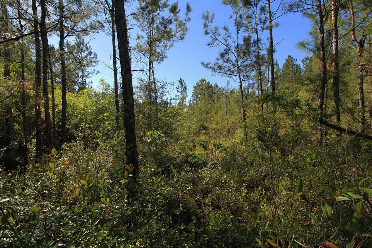 3-acres River Road Lucedale, MS 39452 - Photo 1 of 10 land 1