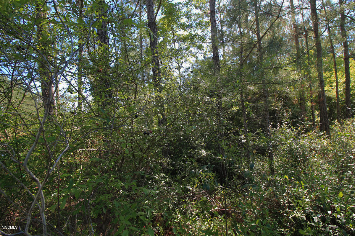 3-acres River Road Lucedale, MS 39452 - Photo 7 of 10 land 7