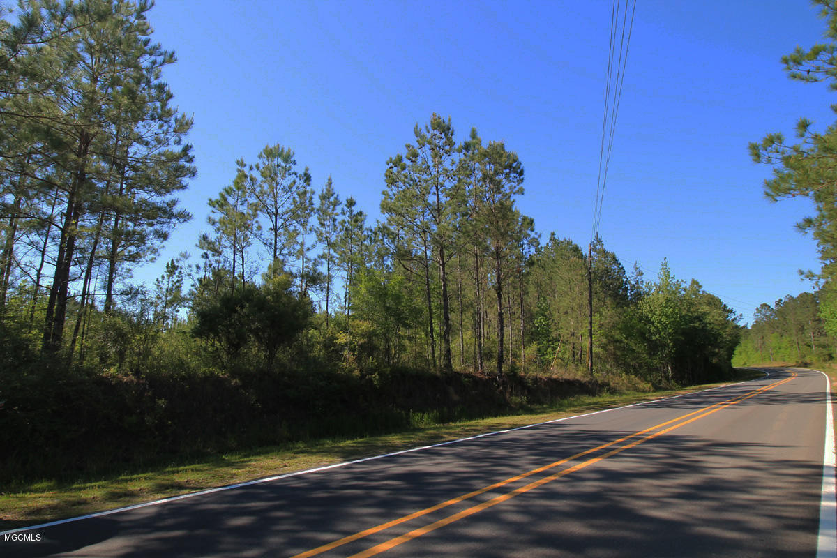 3-acres River Road Lucedale, MS 39452 - Photo 10 of 10 land and road
