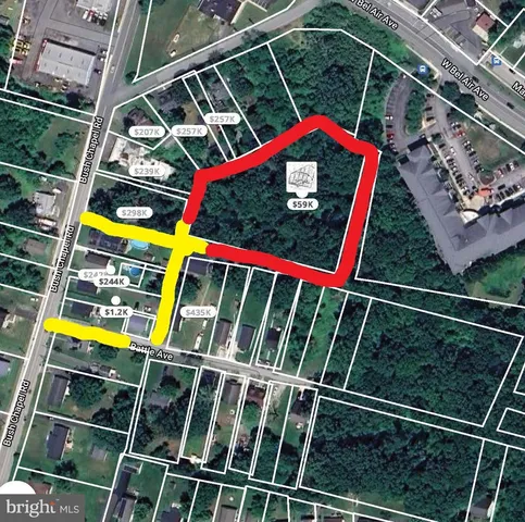 a view of under a large tree