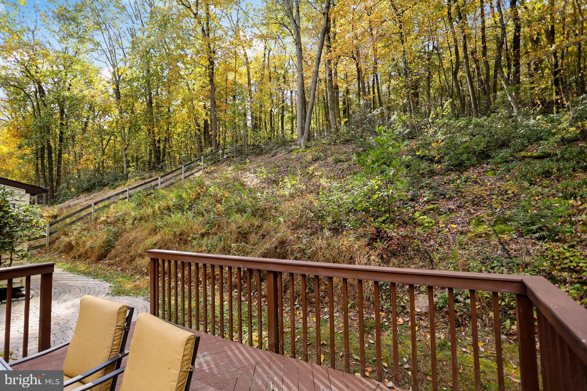 425 Laurel Ridge Road Reinholds, PA 17569 - Photo 8 of 54 Gallery Image 8