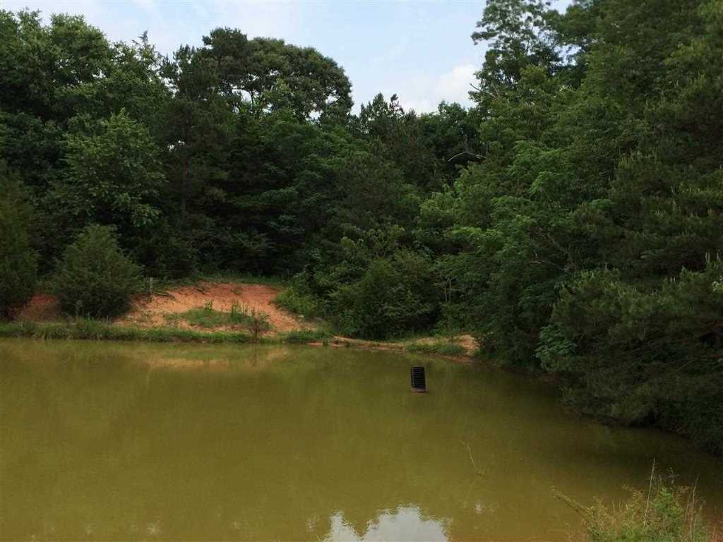 240 Wade Farm Road Fair Play, SC 29643 - Photo 2 of 10 Gallery Image 2