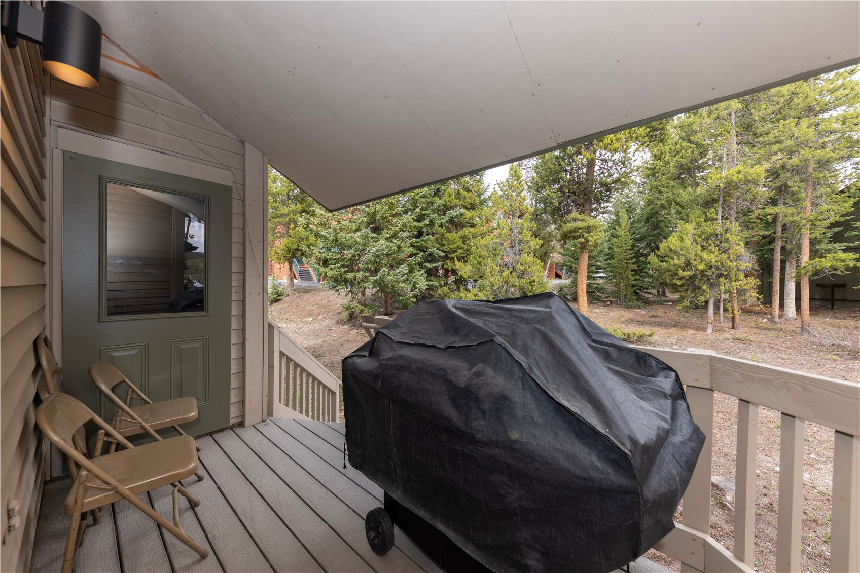 1120 Baldy Road, Unit 1120 Breckenridge, CO 80424 - Photo 32 of 38