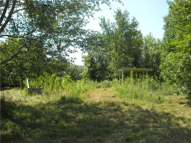 1177 Ben Collier Road Charlotte, TN 37036 - Photo 8 of 10 Gallery Image 8