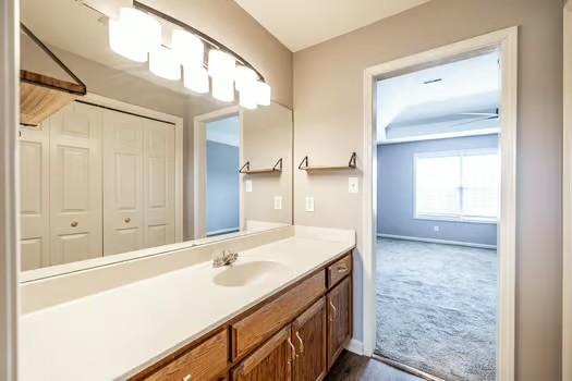 2029 Copper Kettle Circle Pleasant View, TN 37146 - Photo 52 of 58 a bathroom with a sink and a mirror