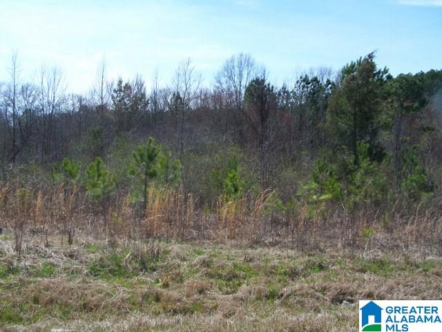 0 Mitchellville Road, Unit ACREAGE Lincoln, AL 35096 - Photo 4 of 19