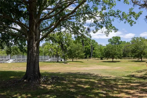 a view of a yard with trees