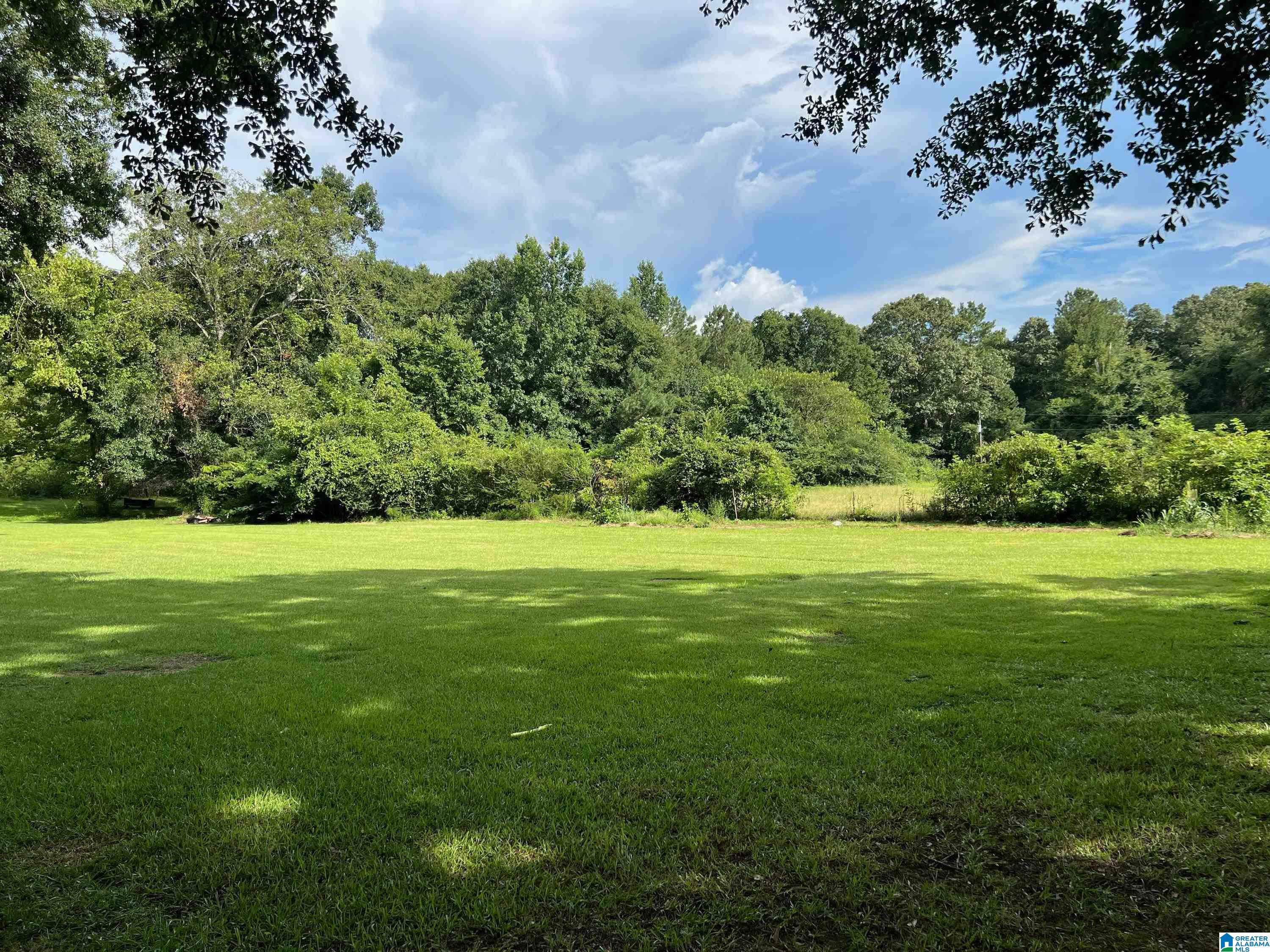 761 County Line Road West Eastaboga, AL 36260 - Photo 2 of 10