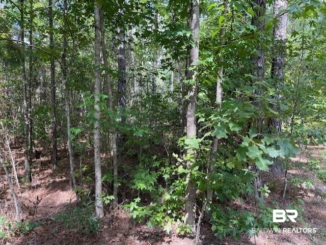 0 Highway 29 Andalusia, AL 36420 - Photo 5 of 9 View of wooded area
