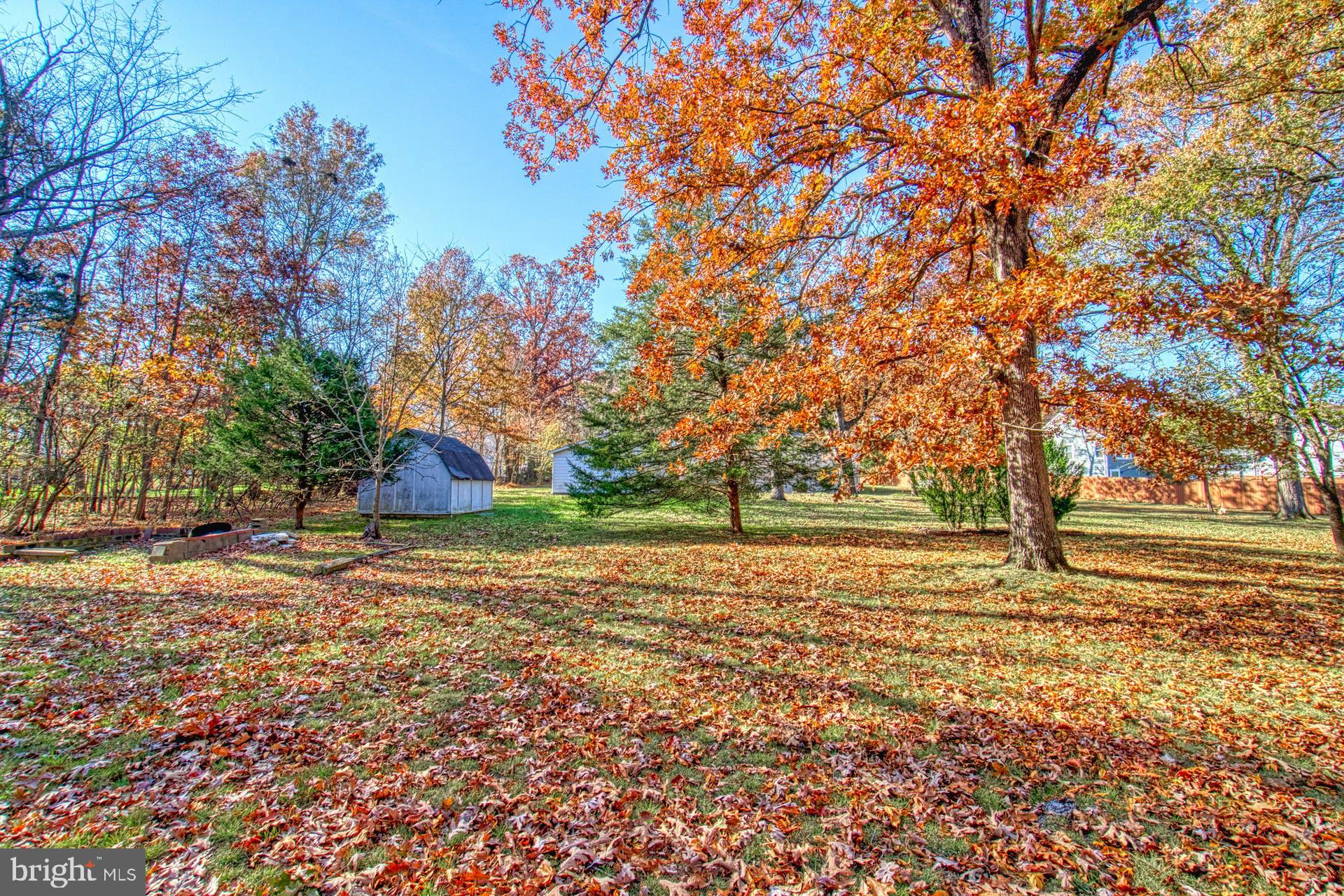 19822 Smith Circle Ashburn, VA 20147 - Photo 35 of 52 Immense Privacy