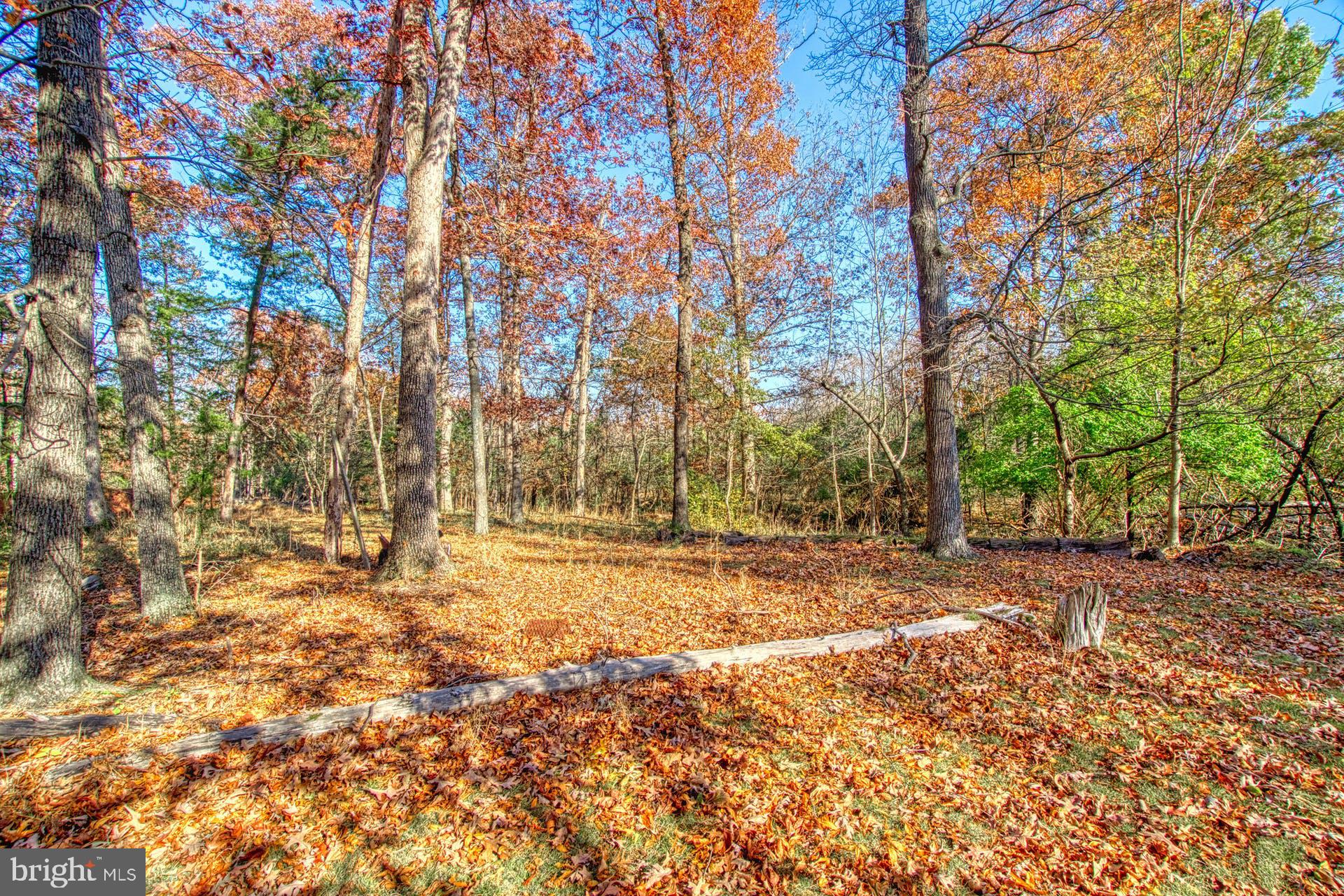 19822 Smith Circle Ashburn, VA 20147 - Photo 36 of 52 Stunning Views