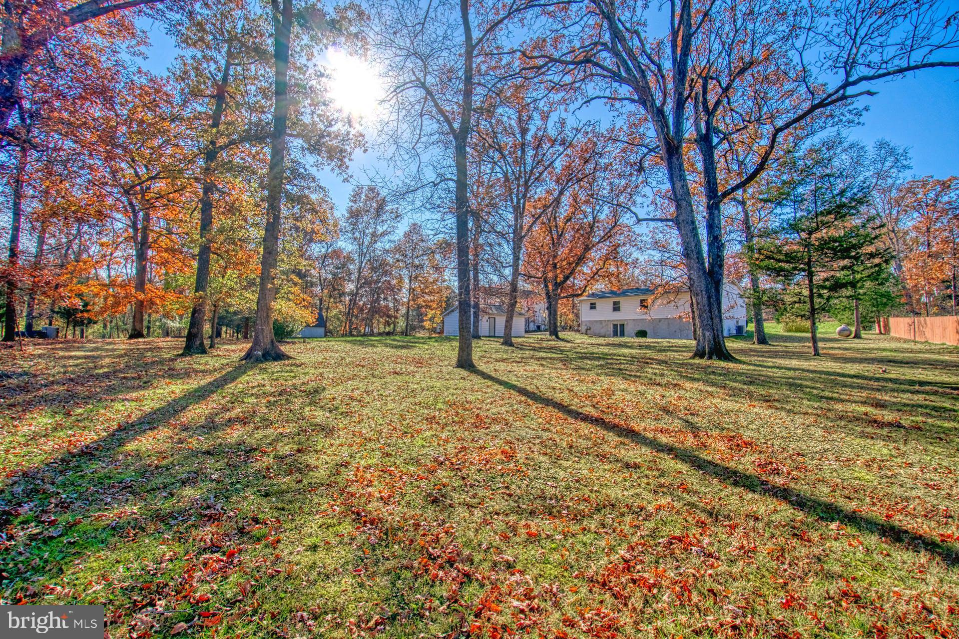 19822 Smith Circle Ashburn, VA 20147 - Photo 37 of 52 Massive Useable Lot