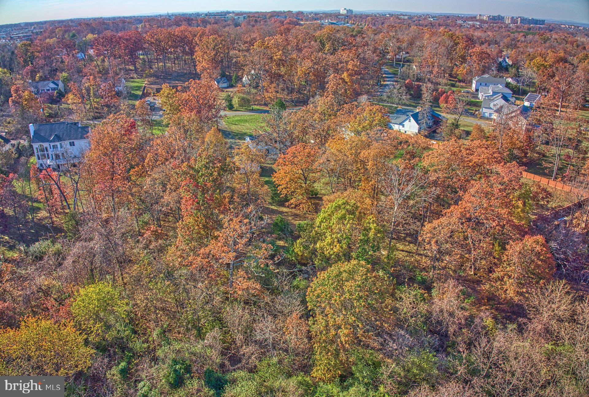 19822 Smith Circle Ashburn, VA 20147 - Photo 39 of 52 Wait! This home is in ASHBURN??!!!