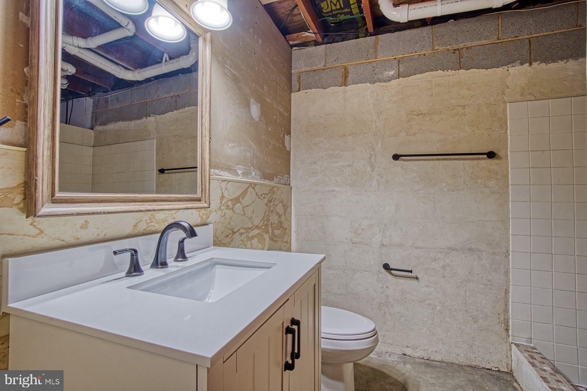 19822 Smith Circle Ashburn, VA 20147 - Photo 45 of 52 Bathroom in basement