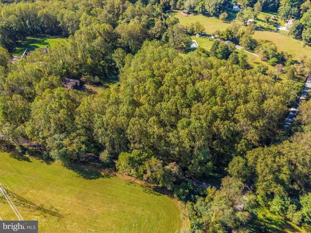 a close up of a tree