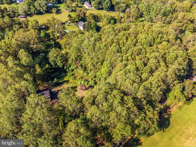 a view of a tree with a yard