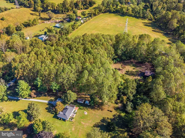 a view of a yard with a tree