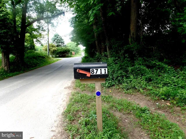 a view of a street with a trees