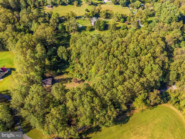 a view of a garden with plants