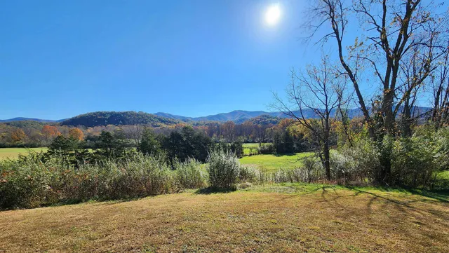 a view of a back yard