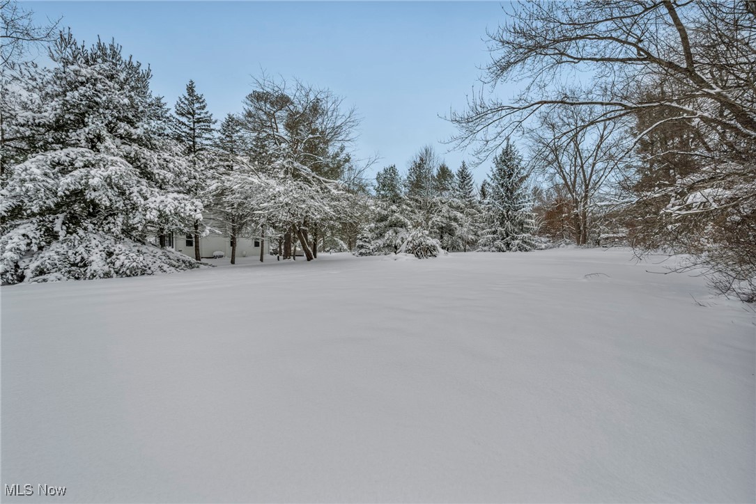 8564 Cedar Road Chesterland, OH 44026 - Photo 37 of 43