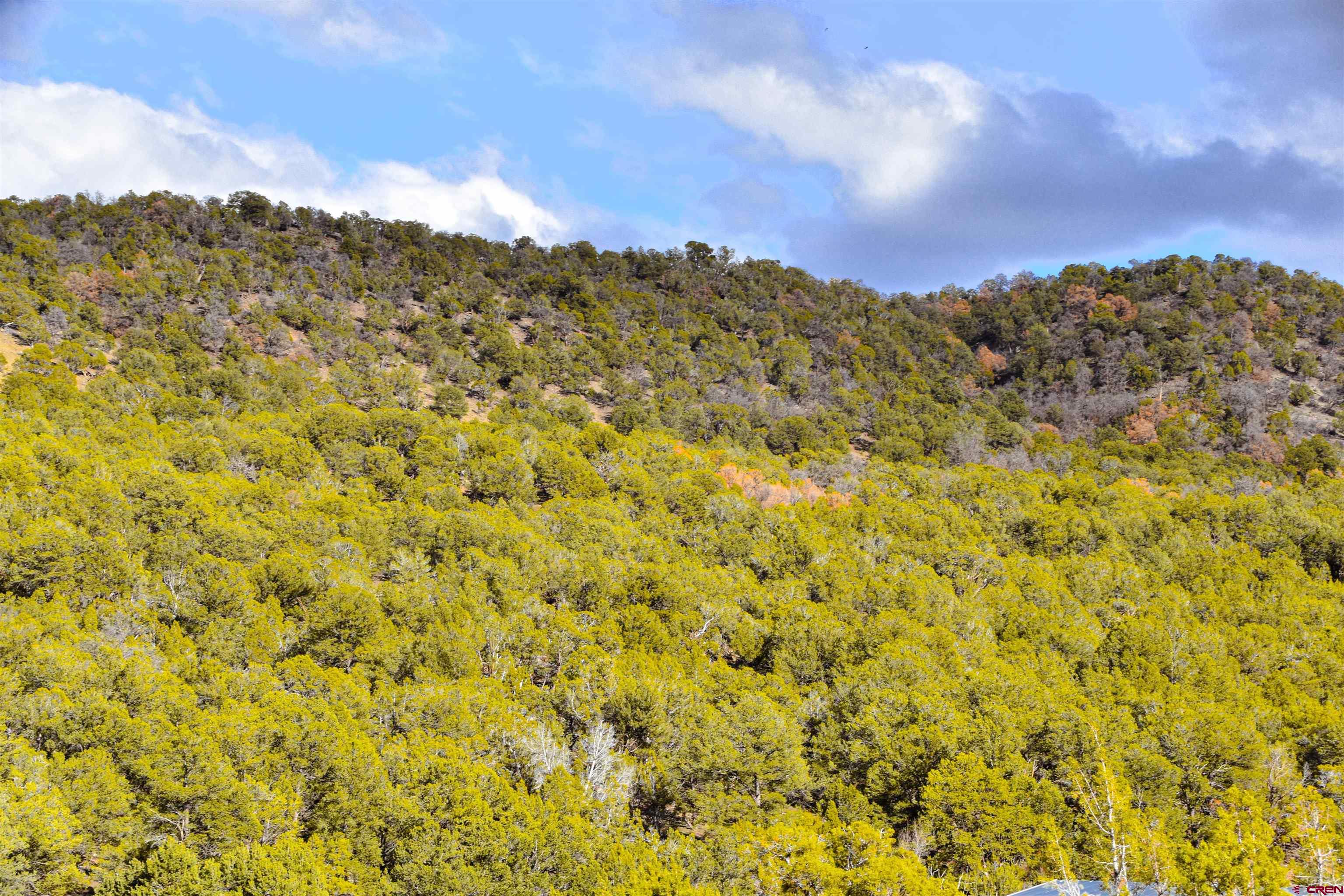 Lot 2 Ridge Road Montrose, CO 81403 - Photo 4 of 18 Gallery Image 4