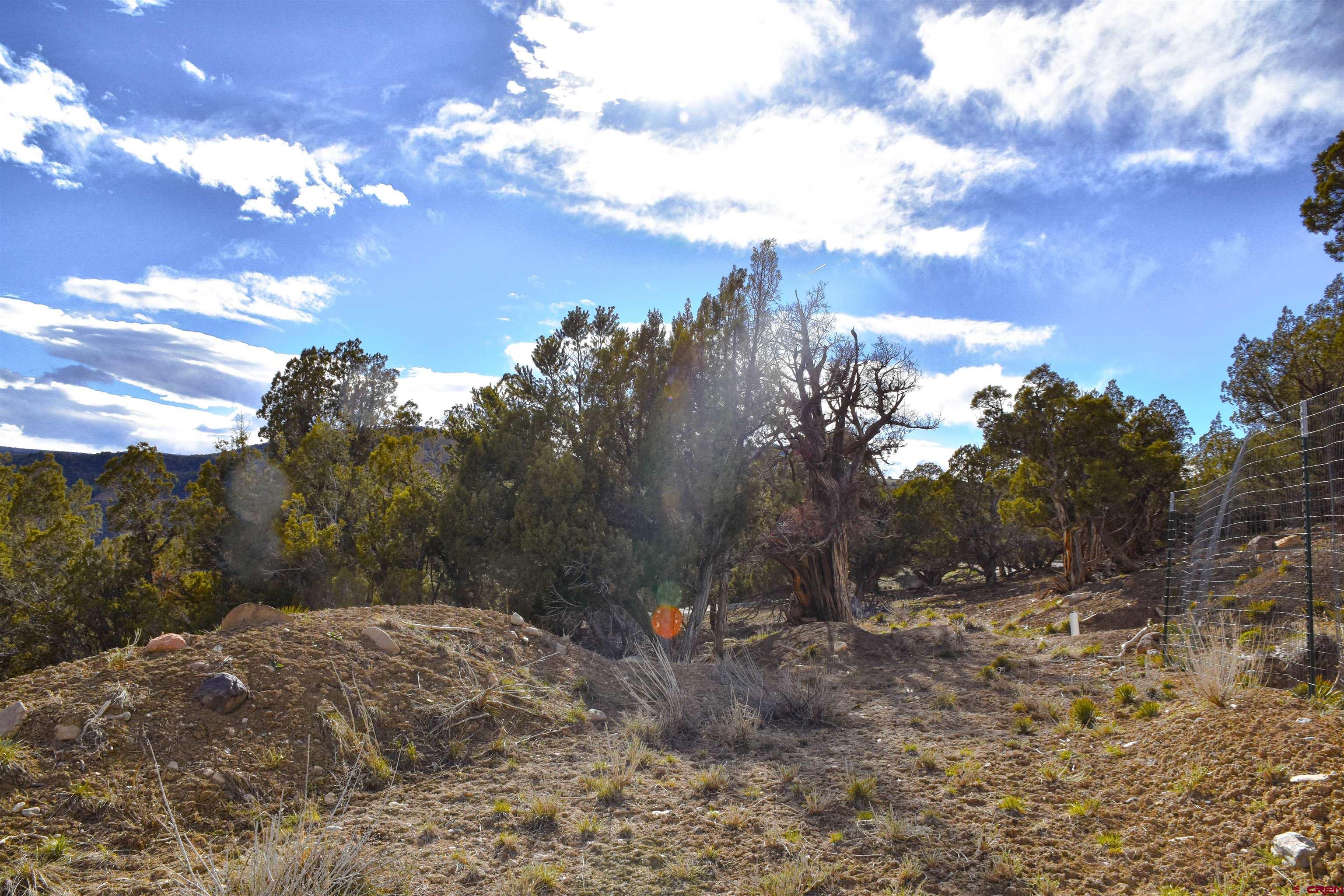 Lot 2 Ridge Road Montrose, CO 81403 - Photo 7 of 18 Gallery Image 7
