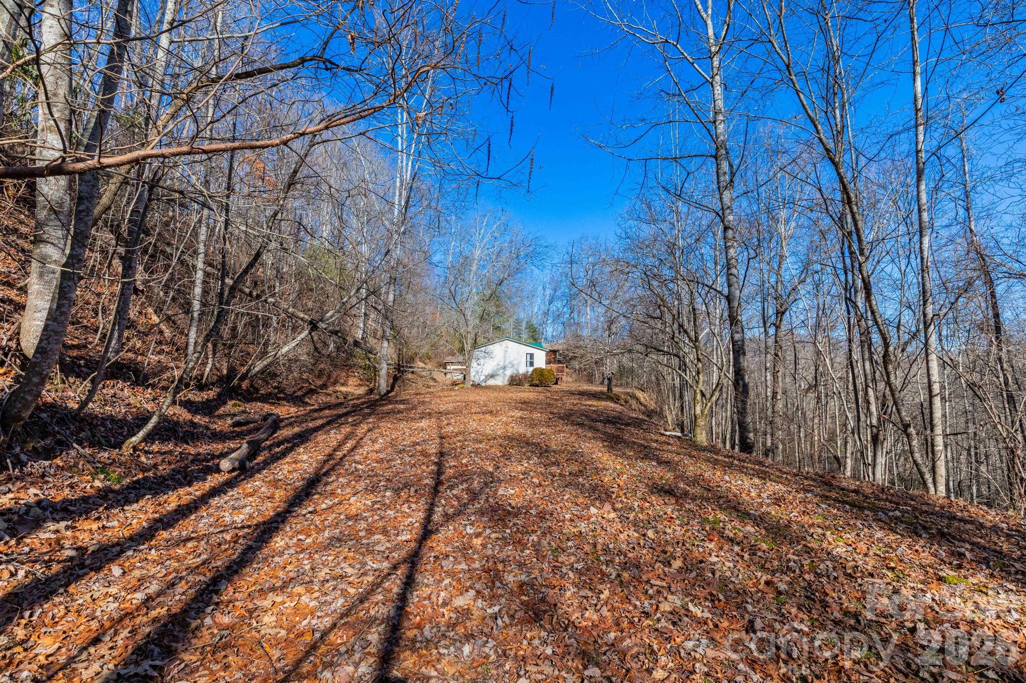 143 Hubert McCall Drive Balsam Grove, NC 28708 - Photo 17 of 21 a view of a yard with trees