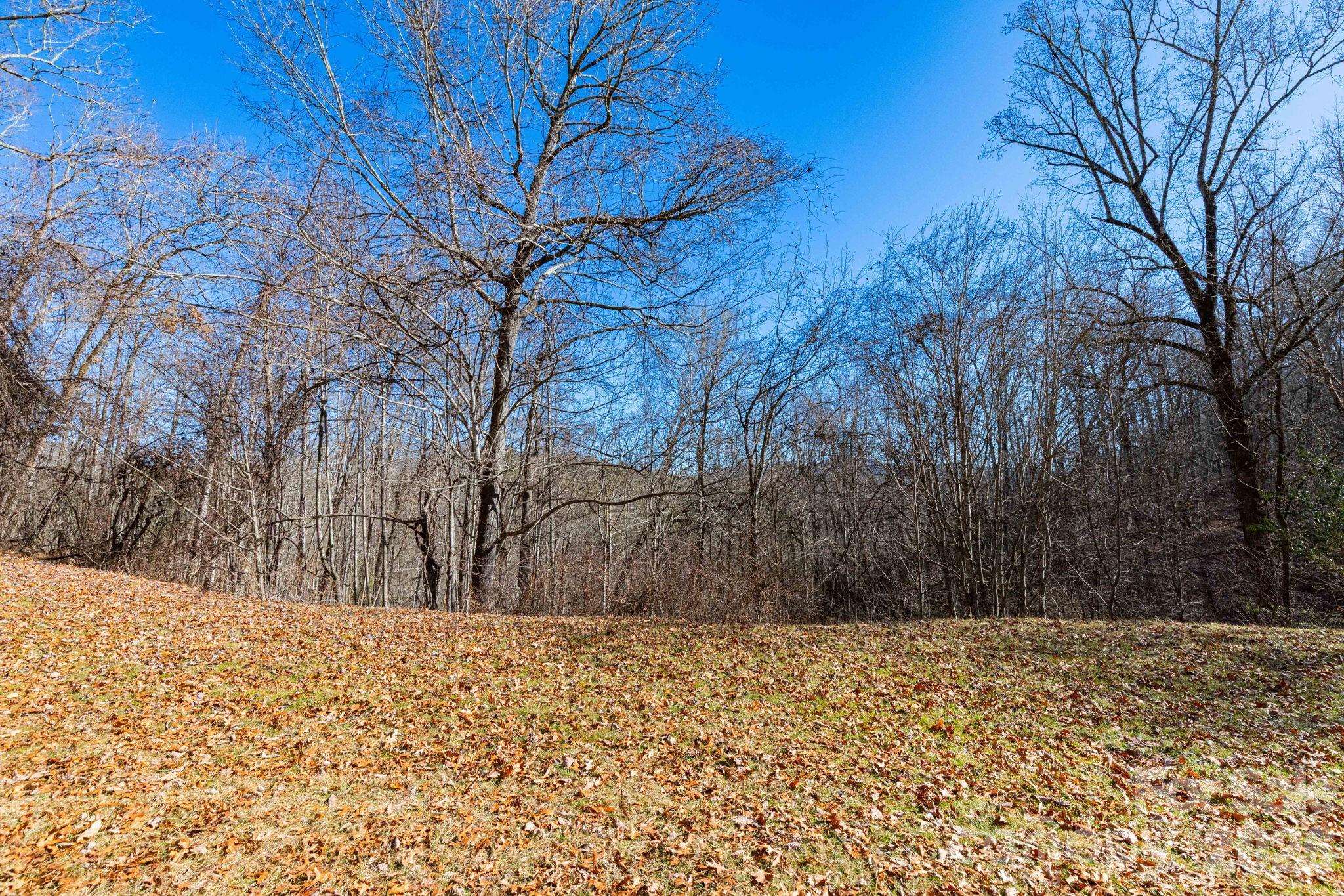 143 Hubert McCall Drive Balsam Grove, NC 28708 - Photo 21 of 21 a view of snow covered with snow