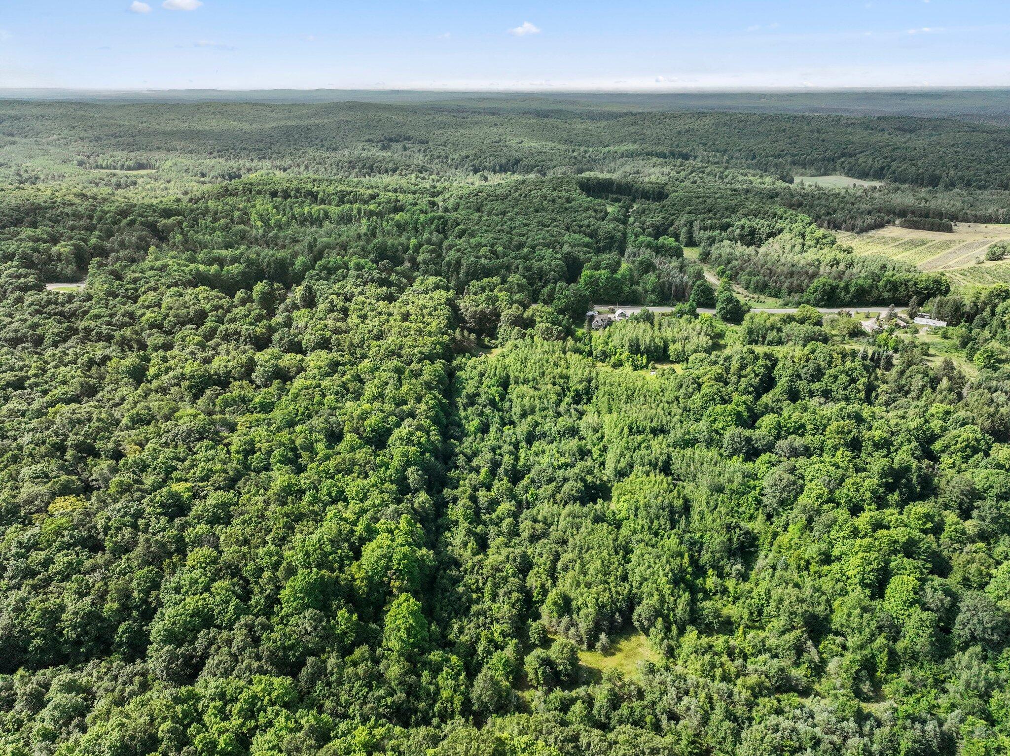 4758 West Phelps Road Lake City, MI 49651 - Photo 63 of 72 5-web-or-mls-DJI_0265