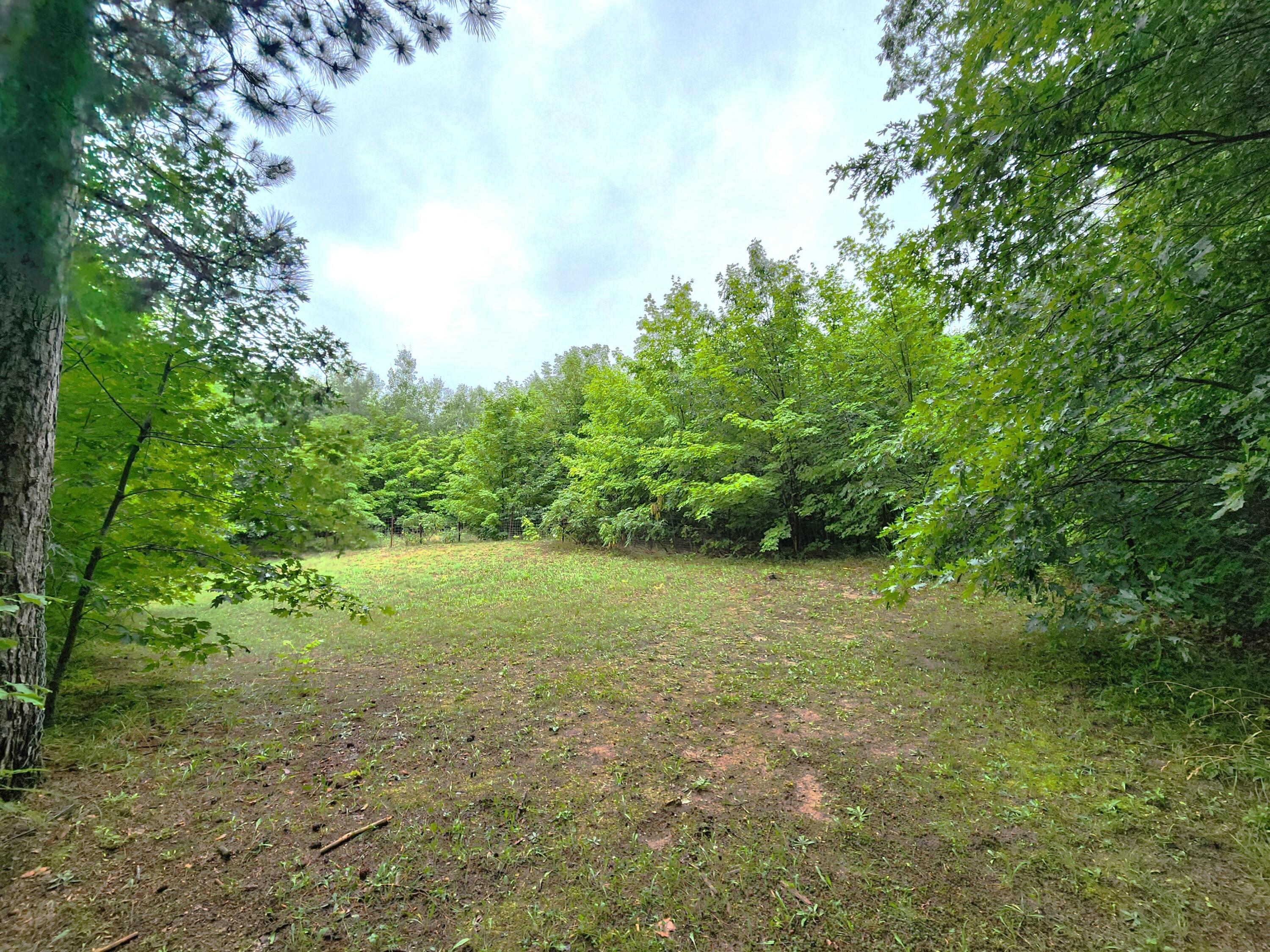 4758 West Phelps Road Lake City, MI 49651 - Photo 65 of 72 20240724_105223