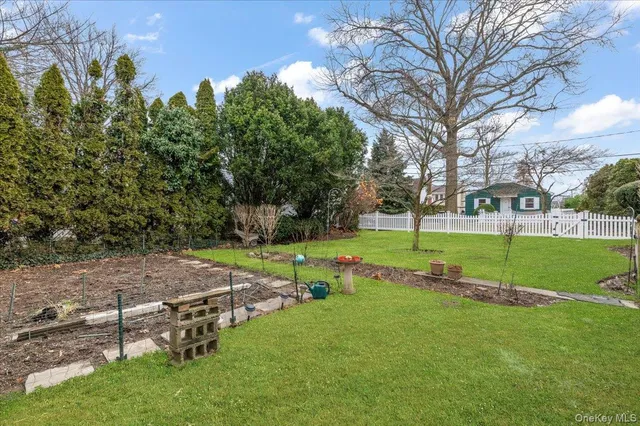 a view of a park with large trees
