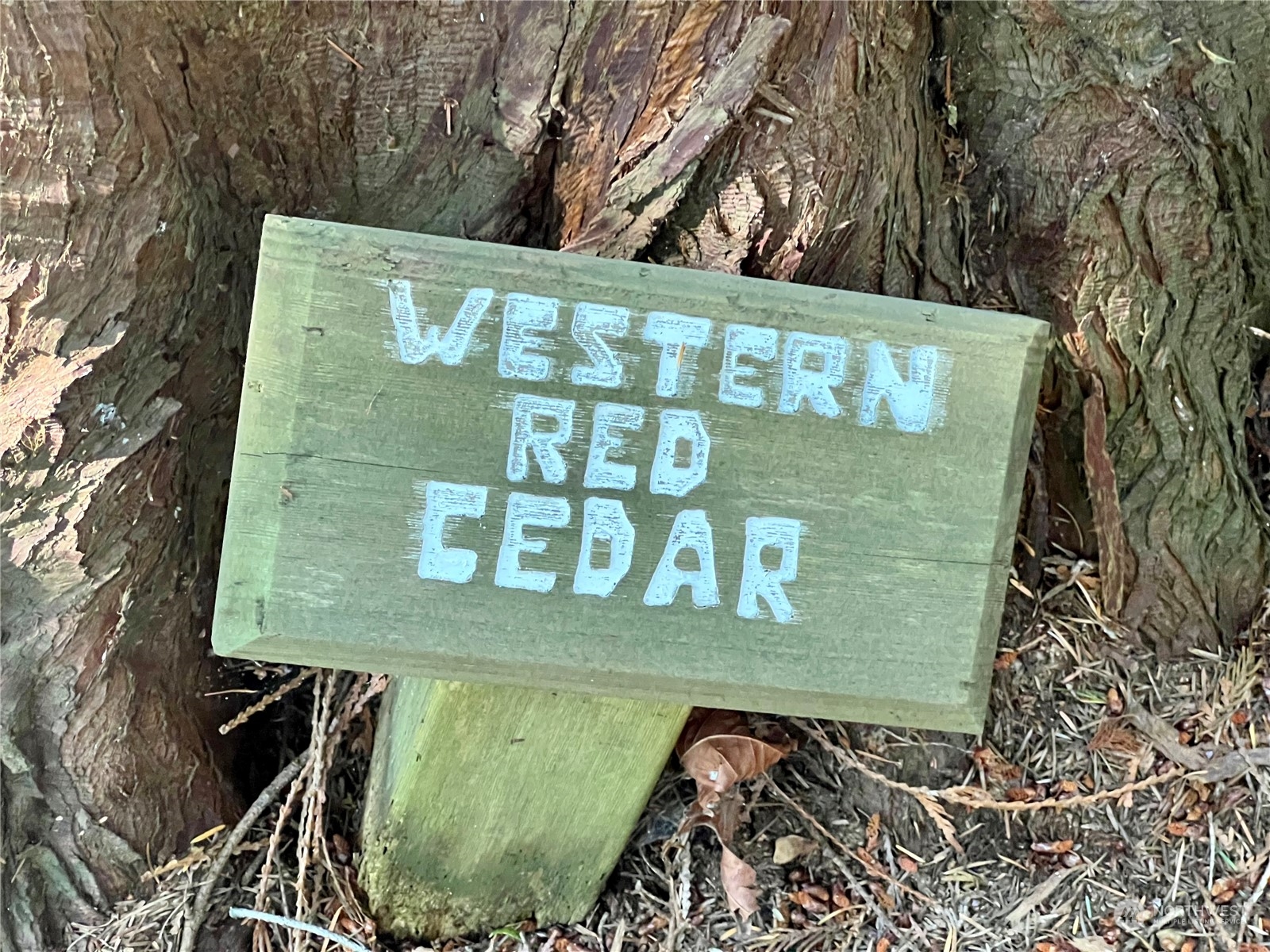 13318 Beverly Park Road Mukilteo, WA 98275 - Photo 28 of 37