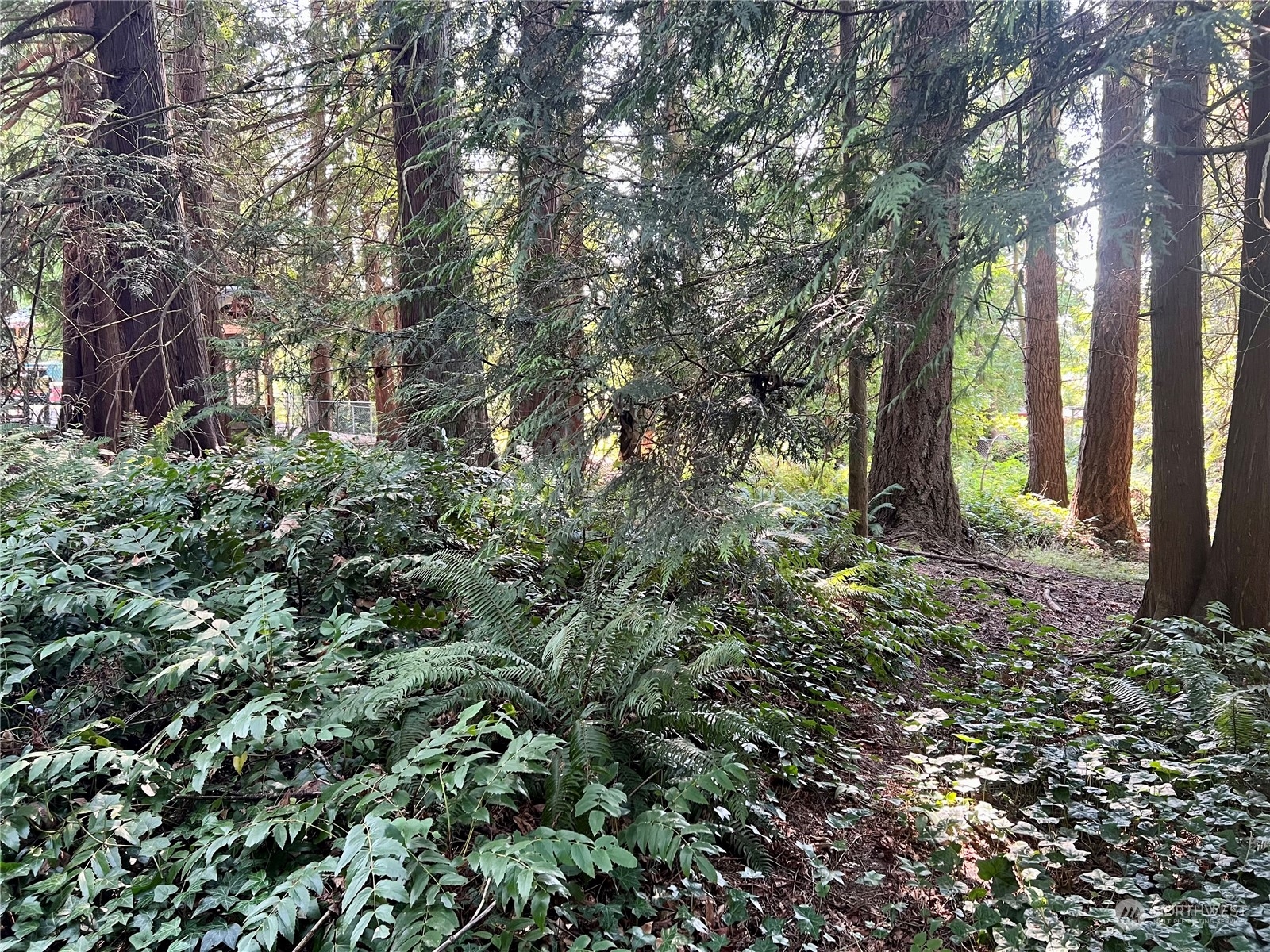 13318 Beverly Park Road Mukilteo, WA 98275 - Photo 29 of 37