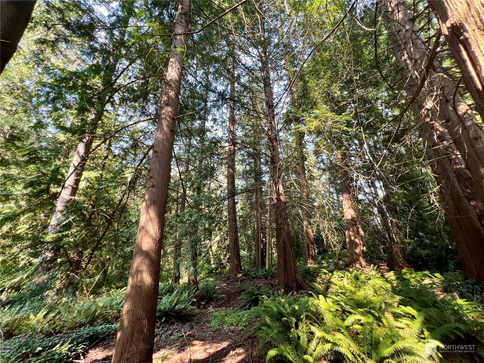 13318 Beverly Park Road Mukilteo, WA 98275 - Photo 33 of 37