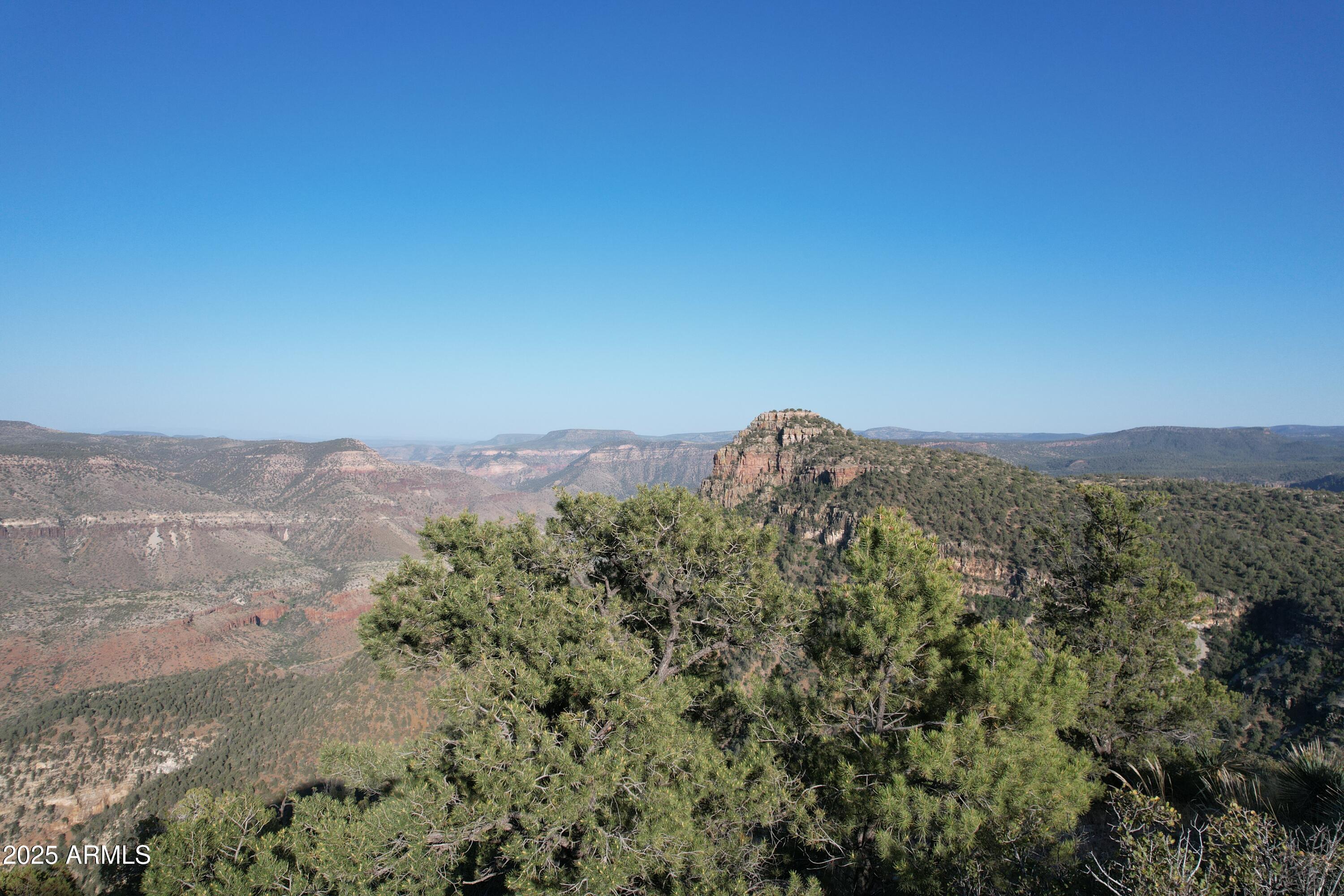0 North Forest Rd Lake Globe, AZ 85501 - Photo 10 of 19