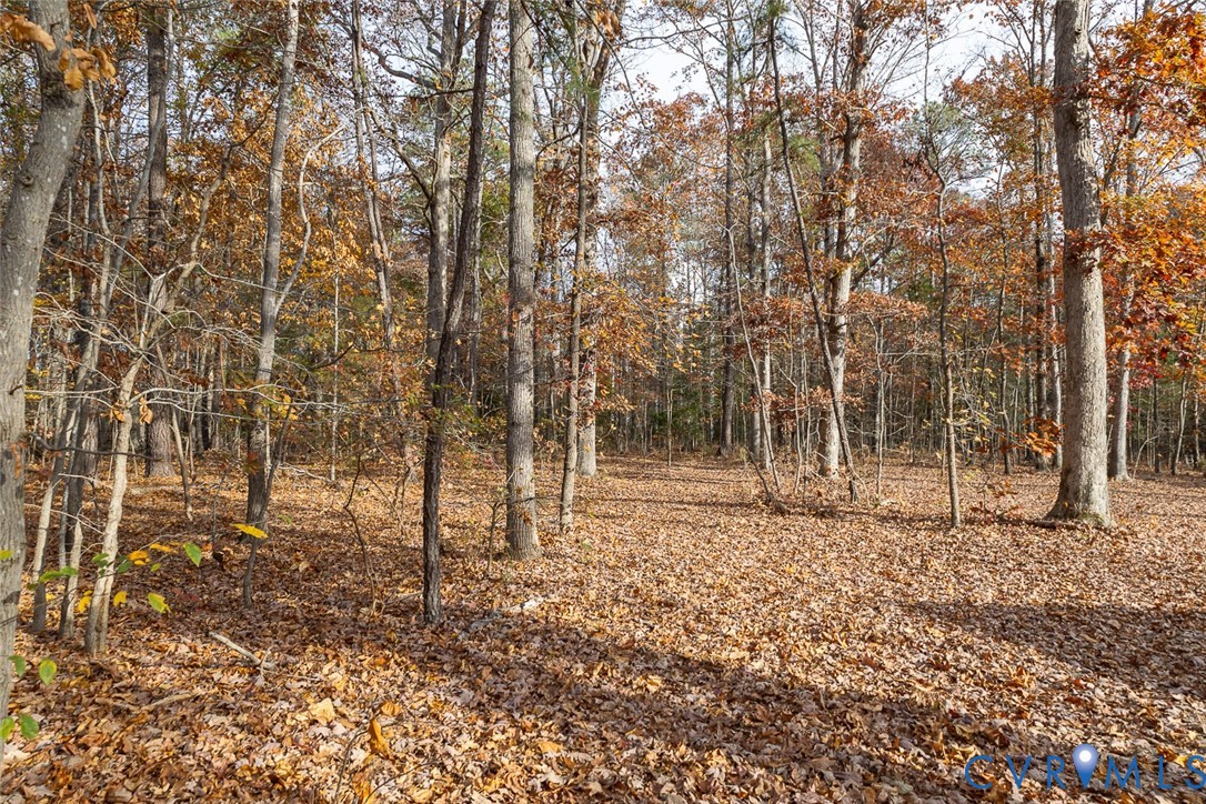 0 Creekmore Road Henrico, VA 23238 - Photo 2 of 7 a backyard of a house with lots of green space