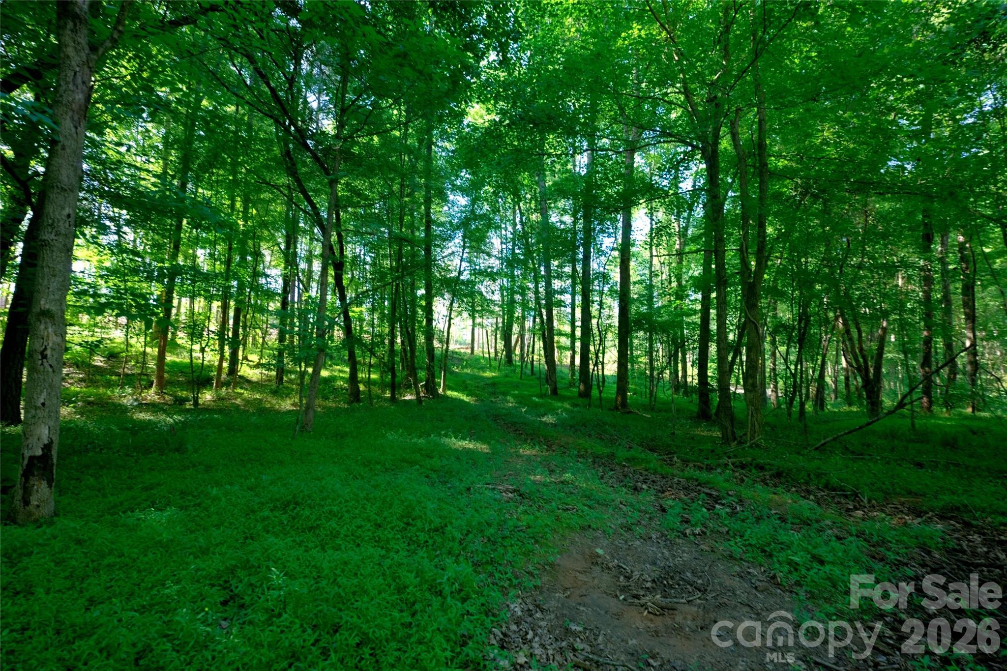 0 Carson Road, Unit 5 Cleveland, NC 27013 - Photo 5 of 18