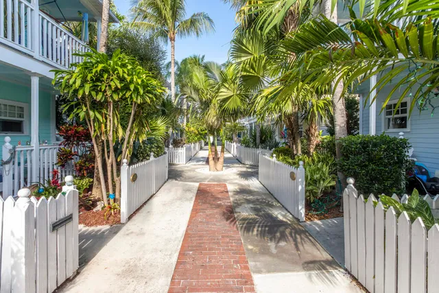 a view of a pathway with plants