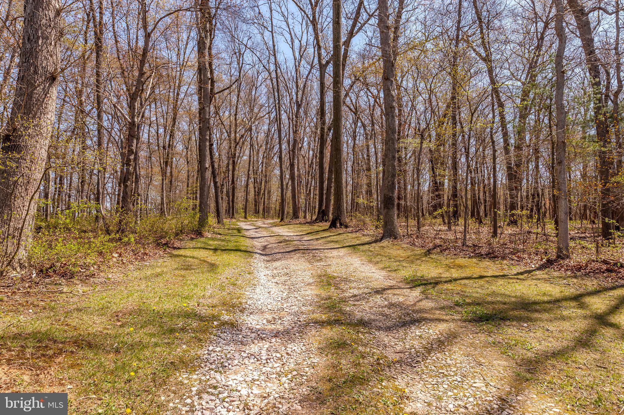 2251 Traceys Store Road Parkton, MD 21120 - Photo 41 of 45 Gallery Image 41